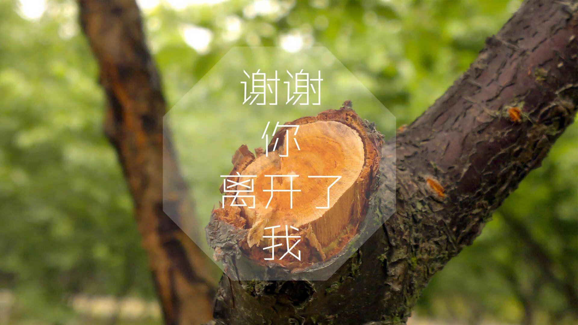 德赢体育app官方下载地址-法甲激烈拼搏，精彩瞬间点燃现场气氛，法甲情况