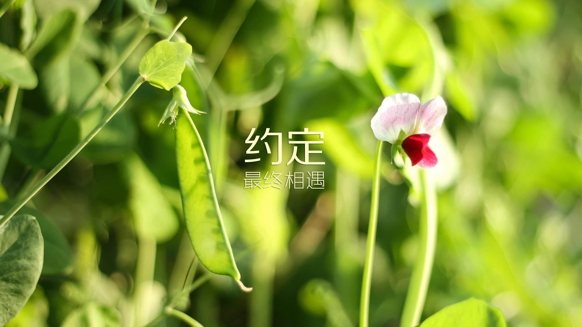 德赢vwin首页(官方)网站-重大赛事即将开启，中国篮球迎来新高峰，中国的篮球比赛