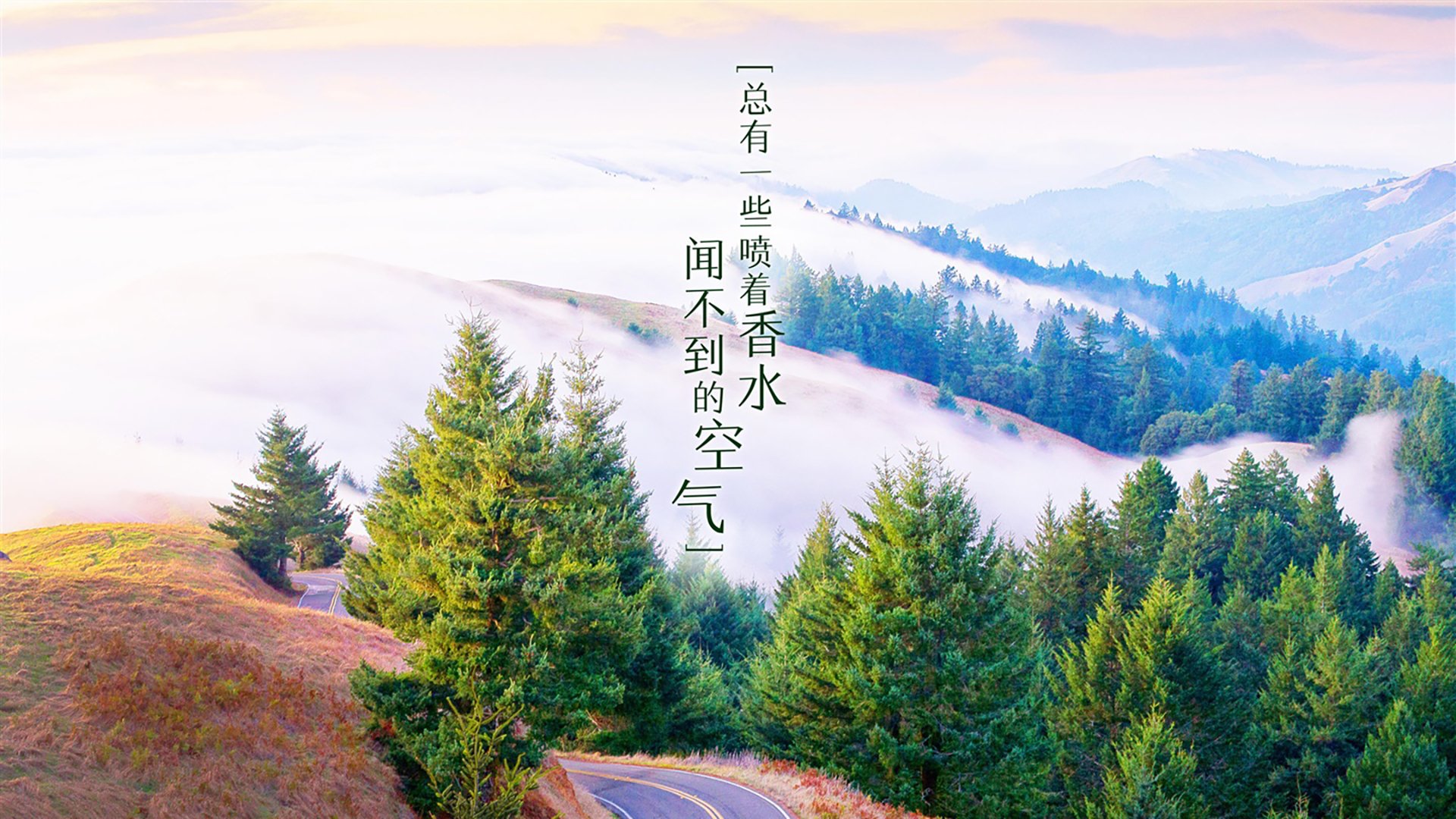冬奥足球黑马？伊朗连胜三场稳居小组第一，奥运会伊朗队