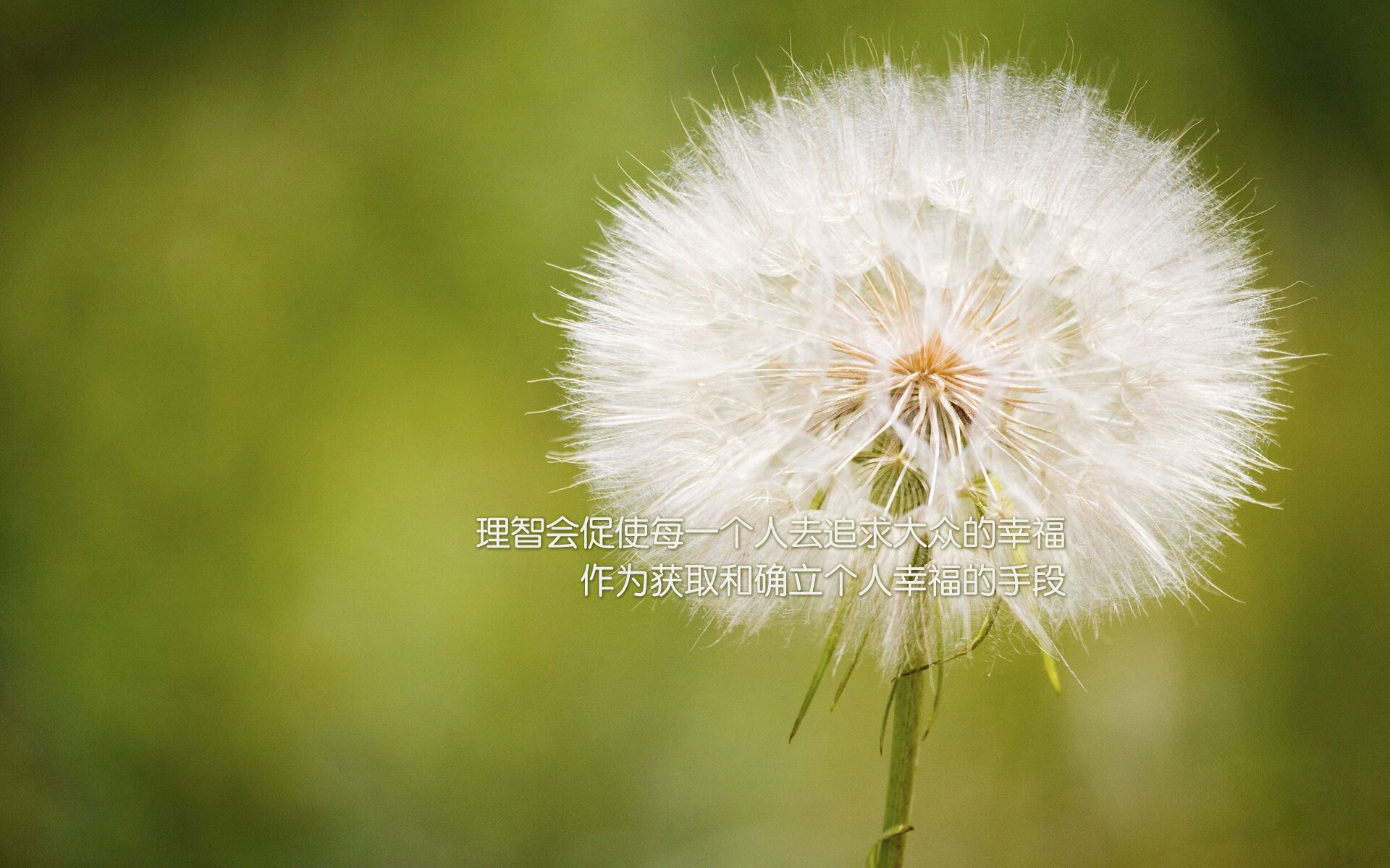 中国三人篮球探索混合打法 提升应变能力，三人篮球中国队