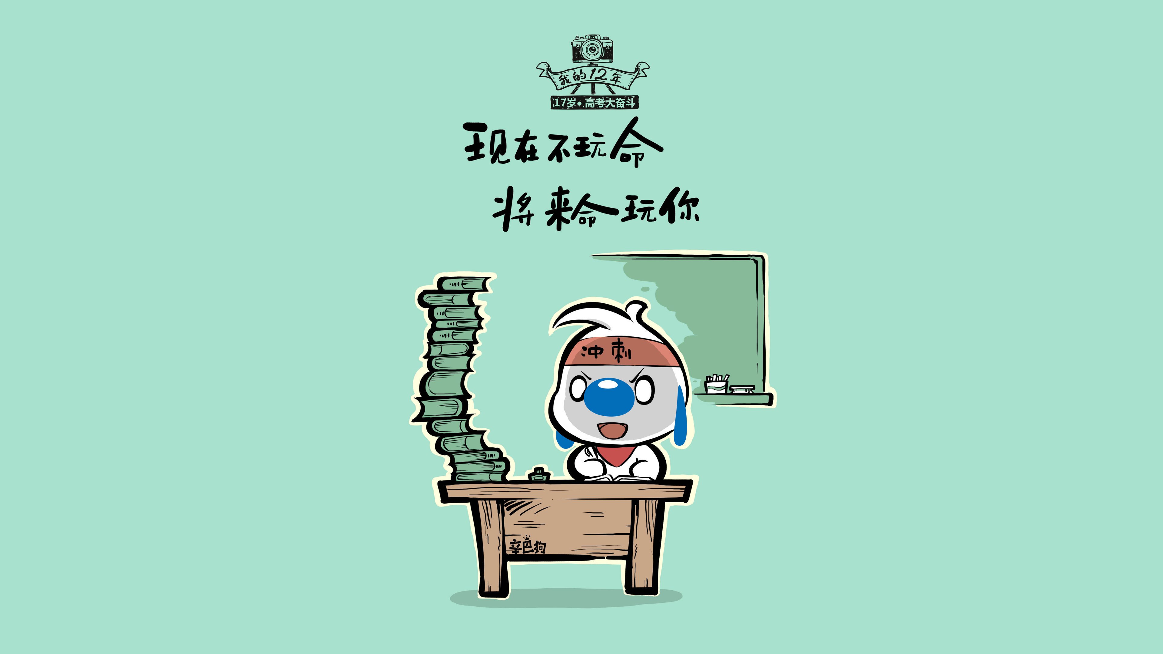 辽宁飞豹连续主场胜利提升球队信心，辽宁飞豹俱乐部官网