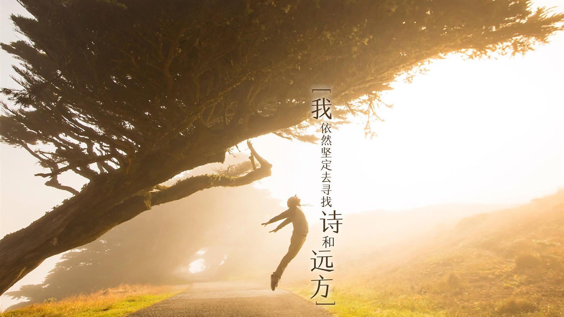 谢佩玲跳台技术细节获教练点赞，谢佩樨简历